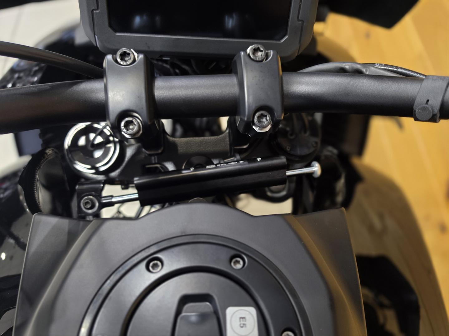 2026 HARLEY-DAVIDSON RA1250S PAN AMERICA SPECIAL DUAL SPORTS