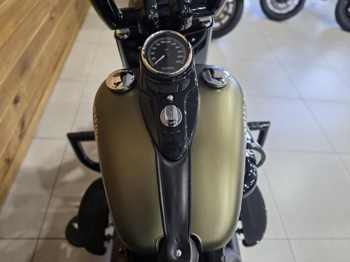 2017 HARLEY-DAVIDSON FLSS SOFTAIL SLIM S CRUISER