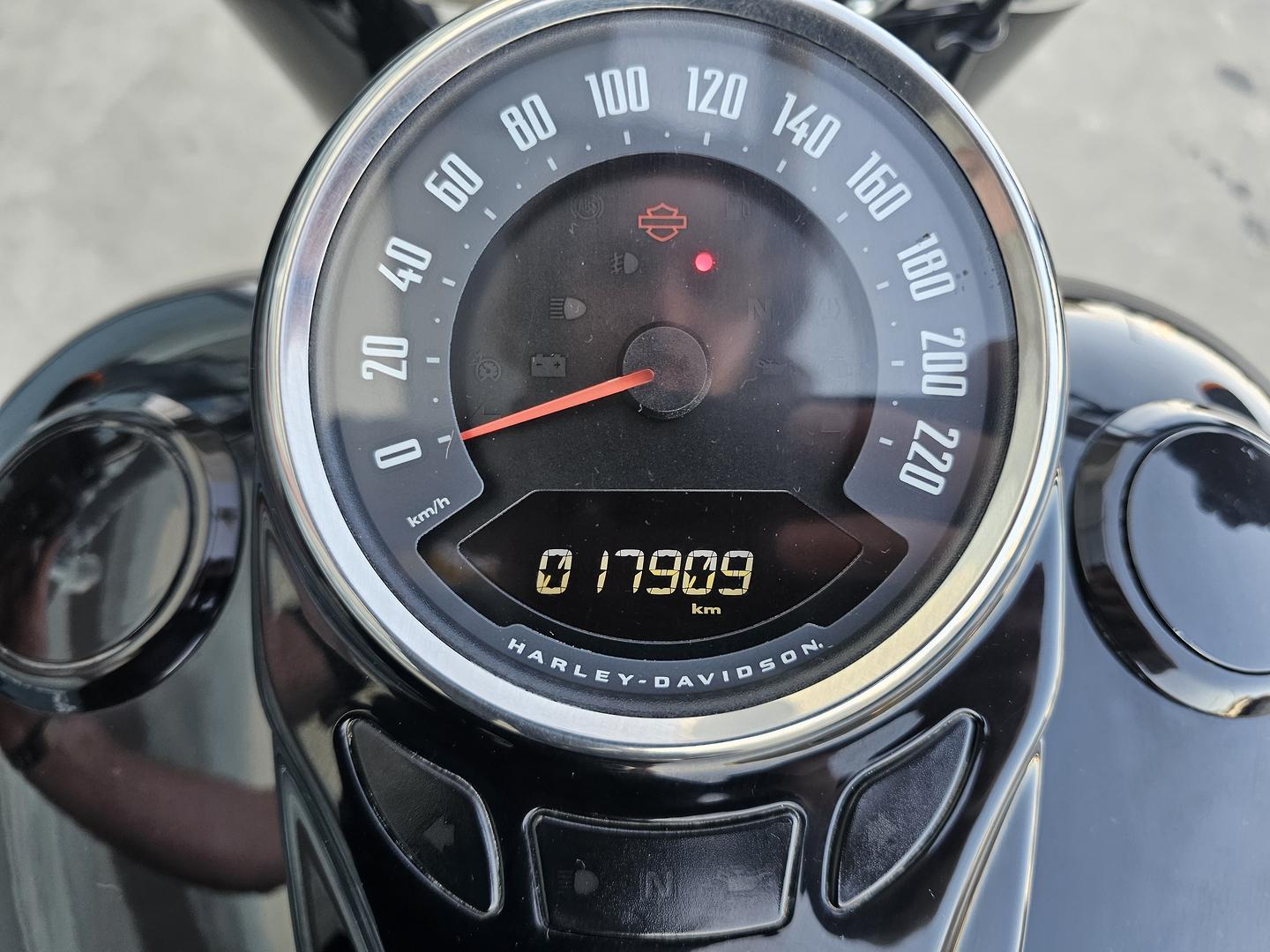 2021 HARLEY-DAVIDSON FLSL SOFTAIL SLIM (107) CRUISER