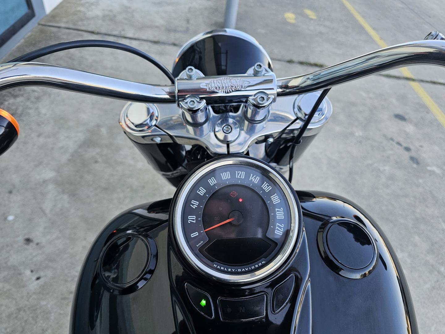 2021 HARLEY-DAVIDSON FLSL SOFTAIL SLIM (107) CRUISER