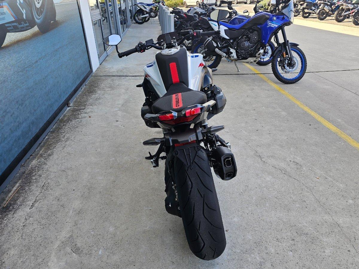 2025 BMW R 1300 R PERFORMANCE ROAD