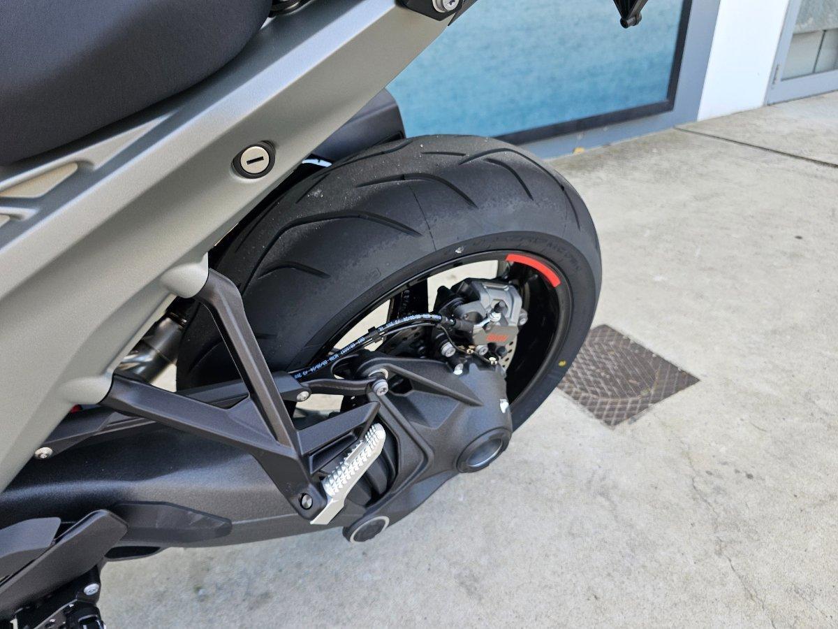 2025 BMW R 1300 R PERFORMANCE ROAD