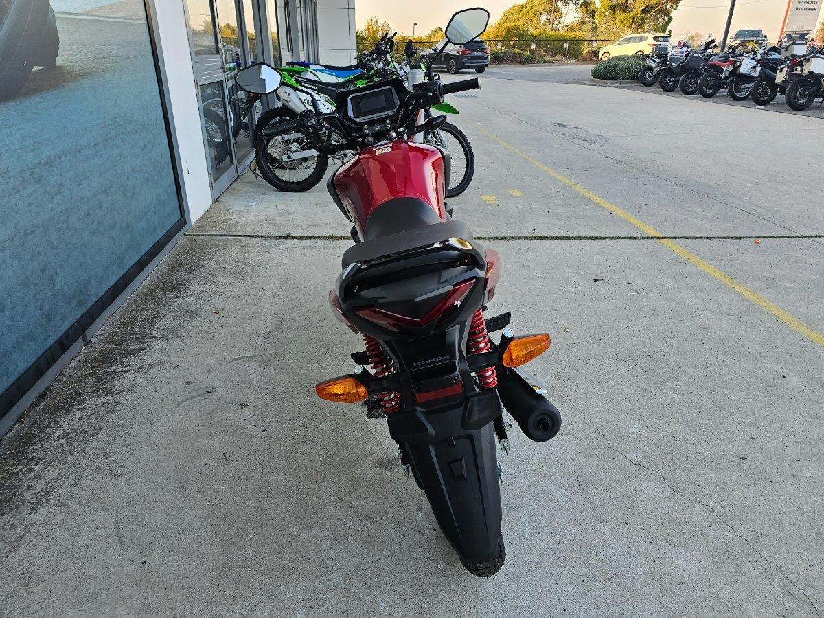 2025 HONDA CB125F (CBF125) ROAD