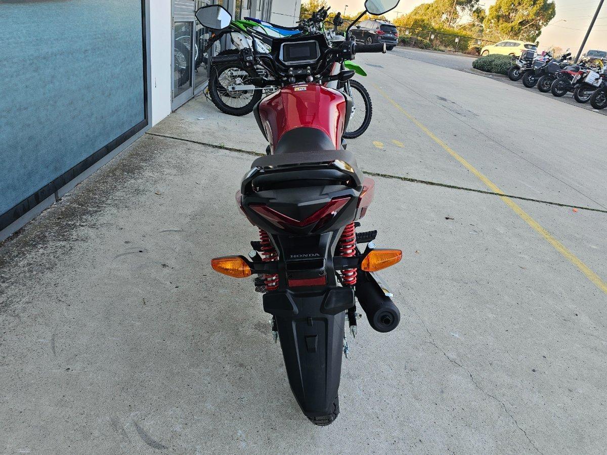 2025 HONDA CB125F (CBF125) ROAD