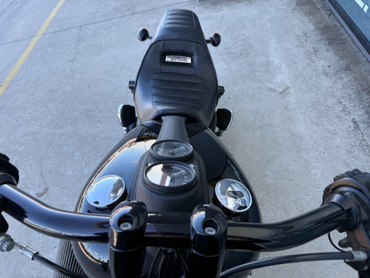 2016 HARLEY-DAVIDSON FXDLS LOW RIDER S CRUISER