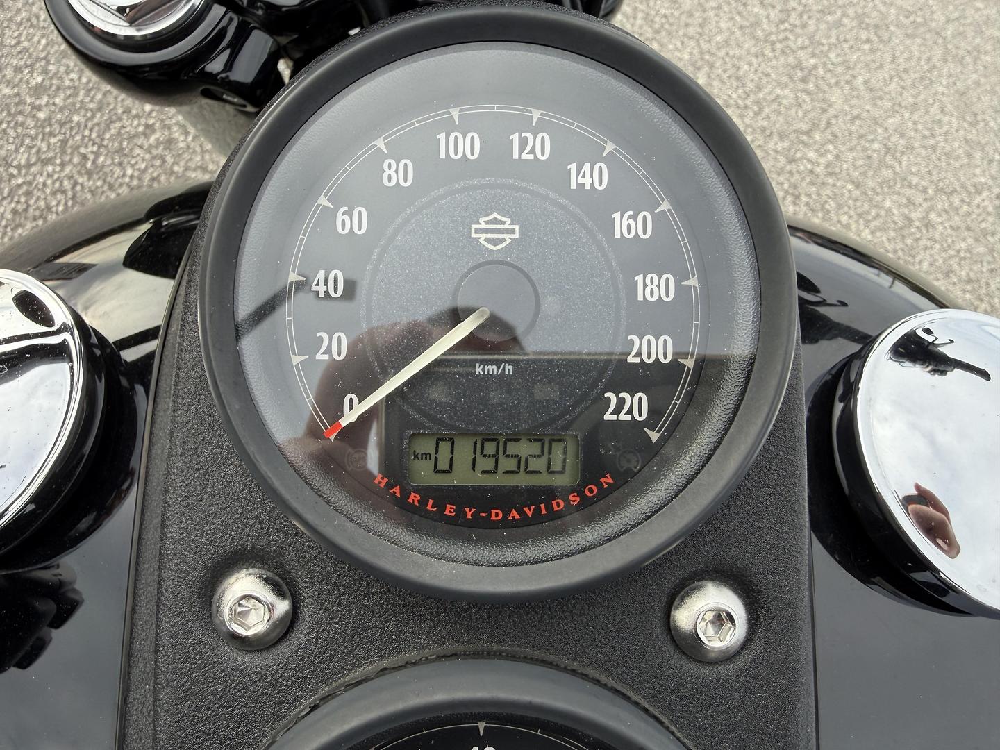2016 HARLEY-DAVIDSON FXDLS LOW RIDER S CRUISER