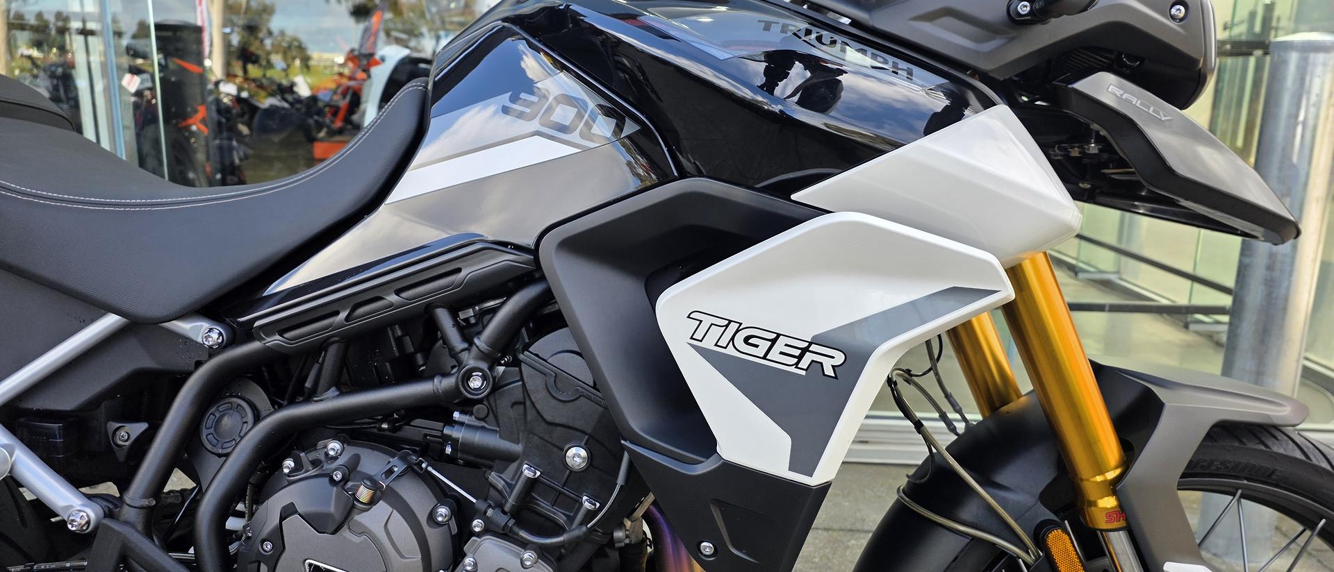 2021 TRIUMPH TIGER 900 RALLY DUAL SPORTS