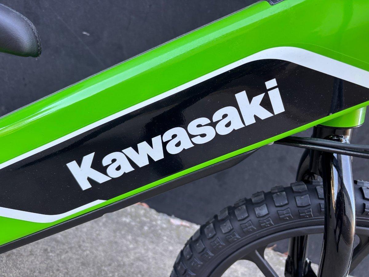 2025 KAWASAKI ELEKTRODE 20 BIKE
