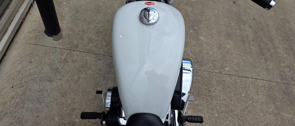 2010 HONDA VT750S CRUISER