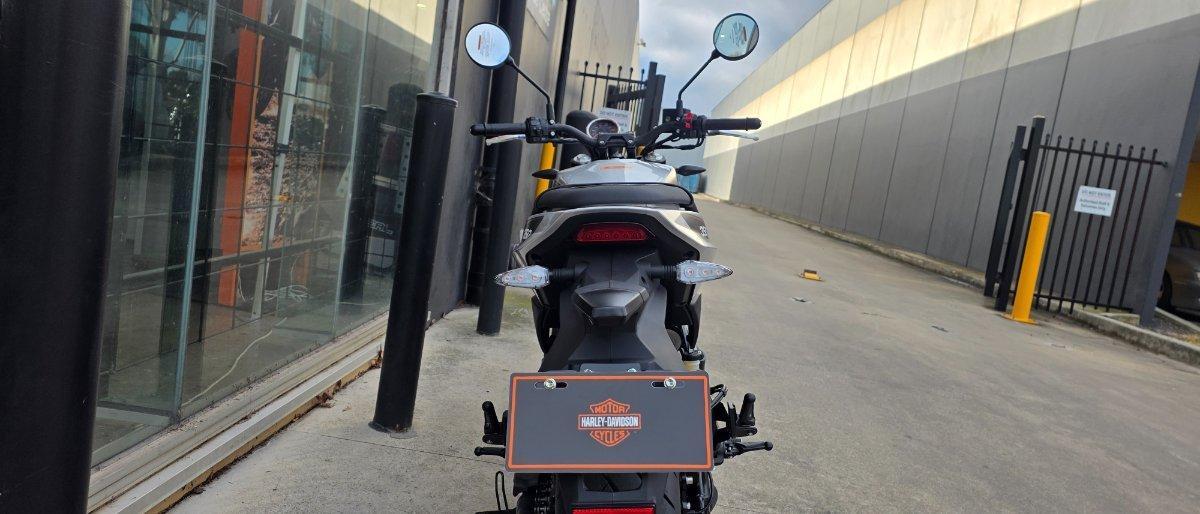 2024 HARLEY-DAVIDSON HD350-10 H-DX X350 CRUISER