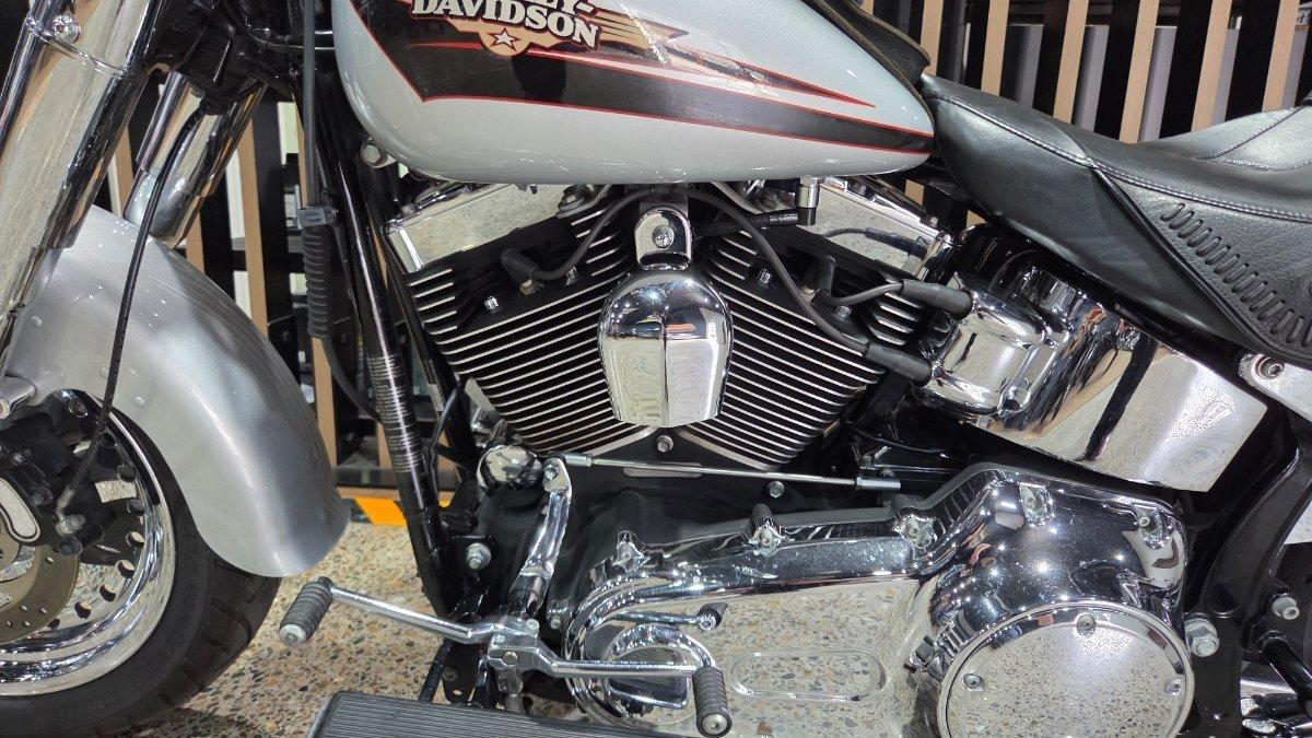 2009 HARLEY-DAVIDSON FLSTF FAT BOY CRUISER
