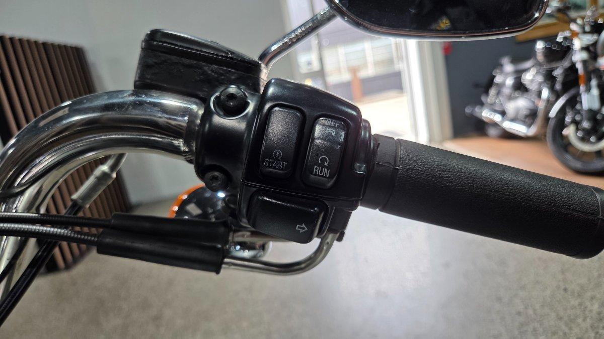 2009 HARLEY-DAVIDSON FLSTF FAT BOY CRUISER