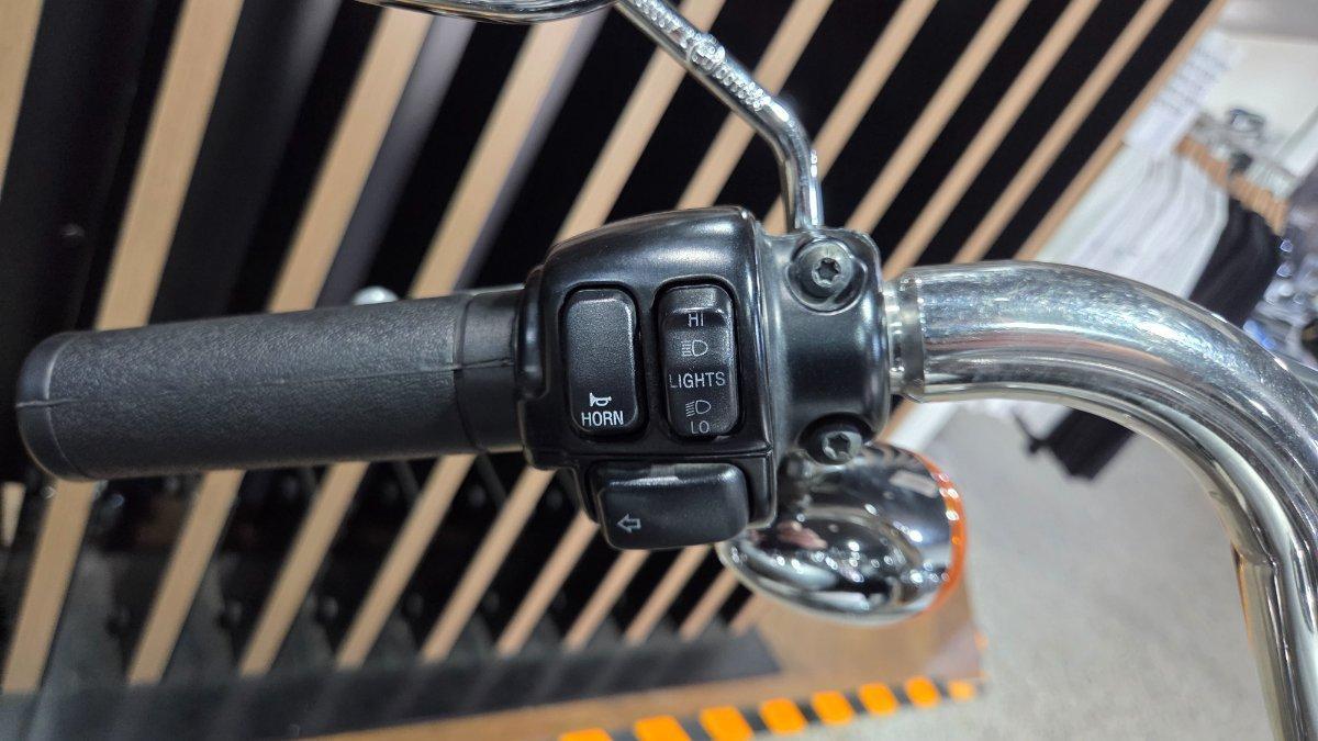 2009 HARLEY-DAVIDSON FLSTF FAT BOY CRUISER