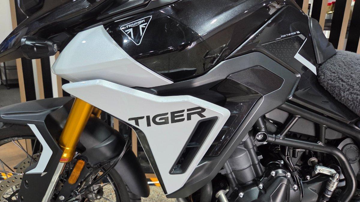 2025 TRIUMPH TIGER 900 RALLY PRO DUAL SPORTS