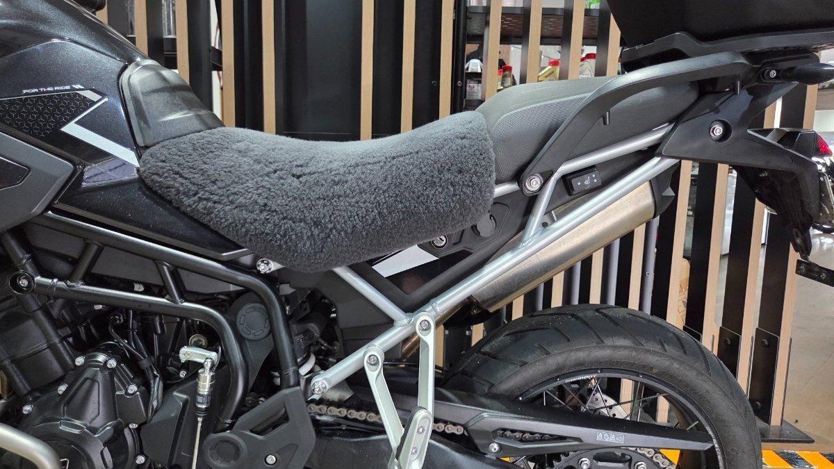 2025 TRIUMPH TIGER 900 RALLY PRO DUAL SPORTS
