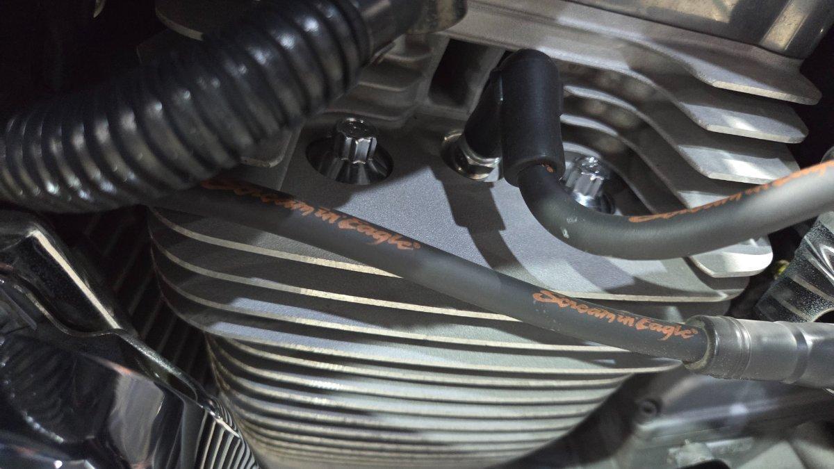 2025 TRIUMPH TRIDENT 660 (LAMS) ROAD