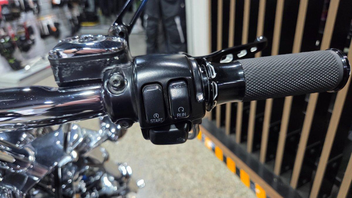 2025 TRIUMPH TRIDENT 660 (LAMS) ROAD