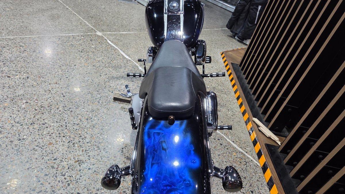 2025 TRIUMPH TRIDENT 660 (LAMS) ROAD