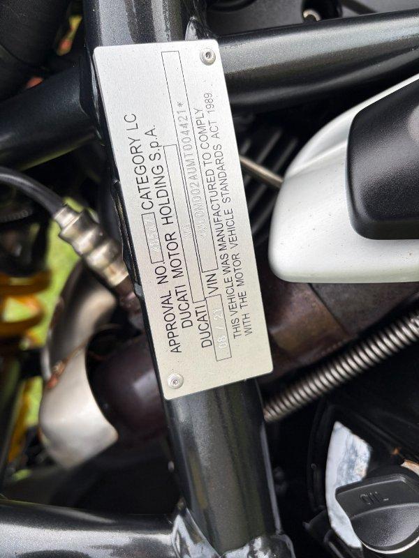 2021 DUCATI MONSTER 659 (WHITE) ROAD