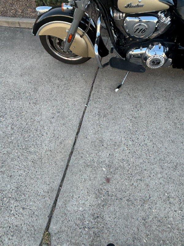 2021 INDIAN SPRINGFIELD CRUISER