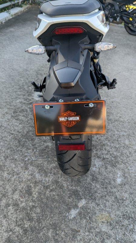 2024 HARLEY-DAVIDSON HD350-10 H-DX X350 CRUISER
