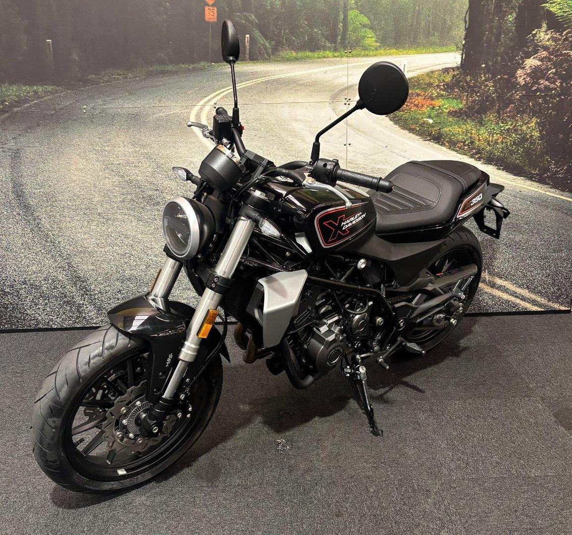 2024 HARLEY-DAVIDSON HD350-10 H-DX X350 CRUISER
