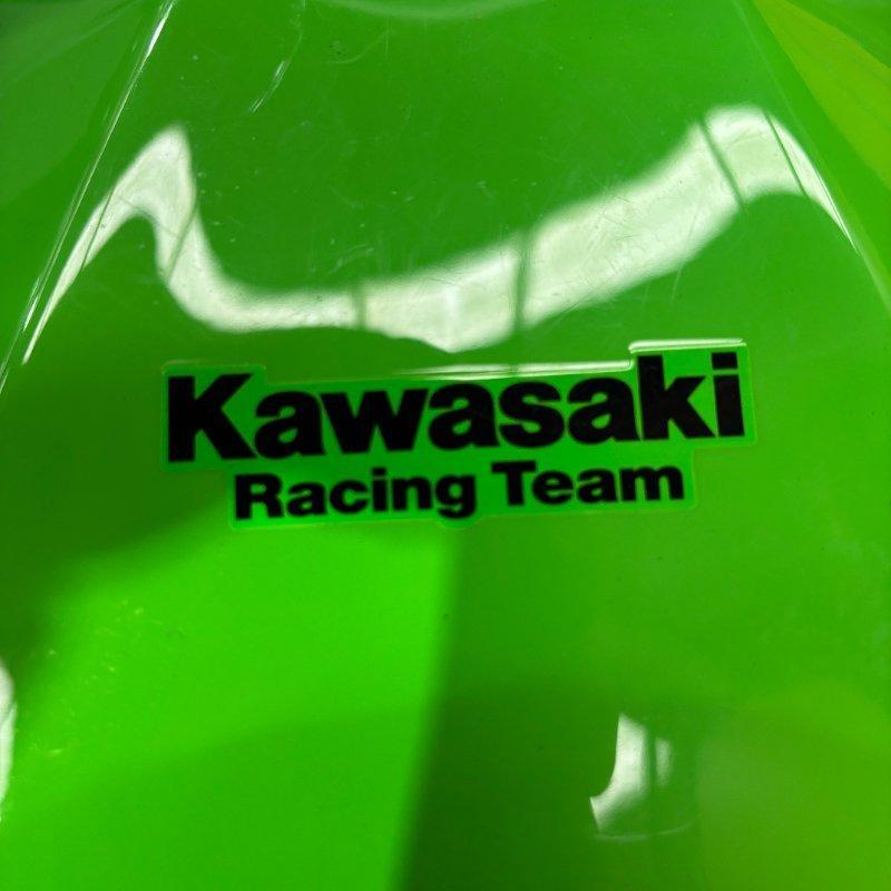 2019 KAWASAKI NINJA 400 KRT EDITION SPORTS