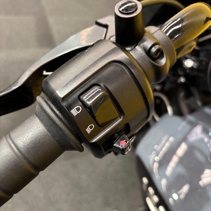 2023 INDIAN SCOUT CRUISER