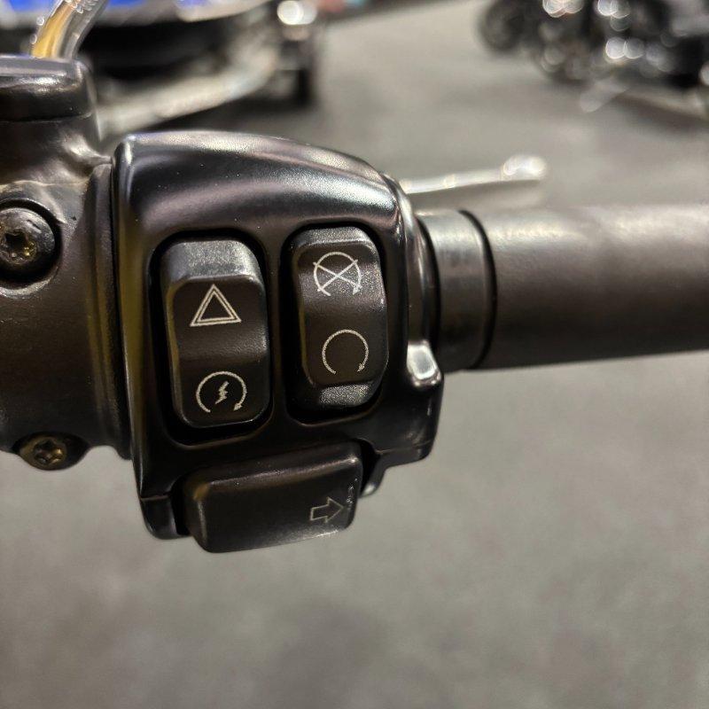 2017 HARLEY-DAVIDSON FLSTF FAT BOY CRUISER