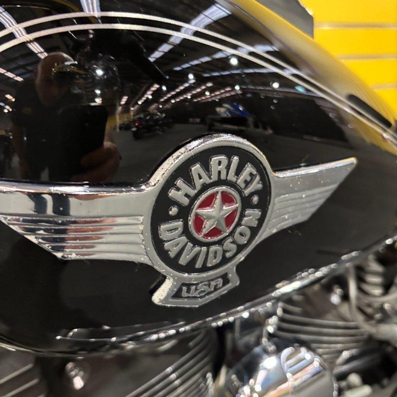 2017 HARLEY-DAVIDSON FLSTF FAT BOY CRUISER