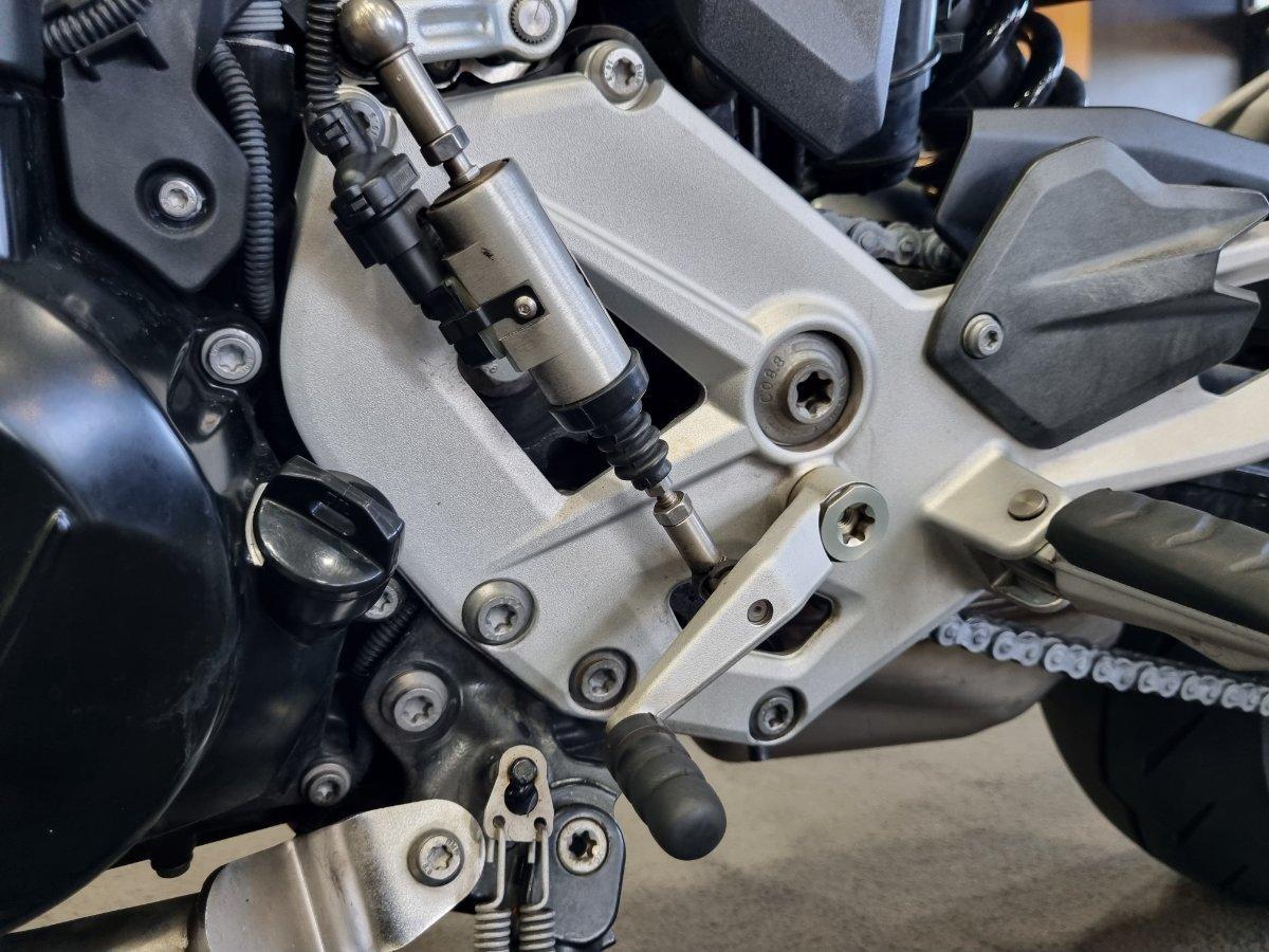2021 BMW F 900 R ROAD