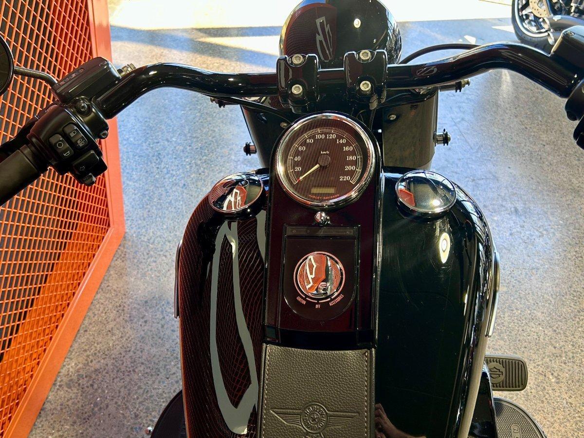 2017 HARLEY-DAVIDSON FLSTFBS FAT BOY S CRUISER