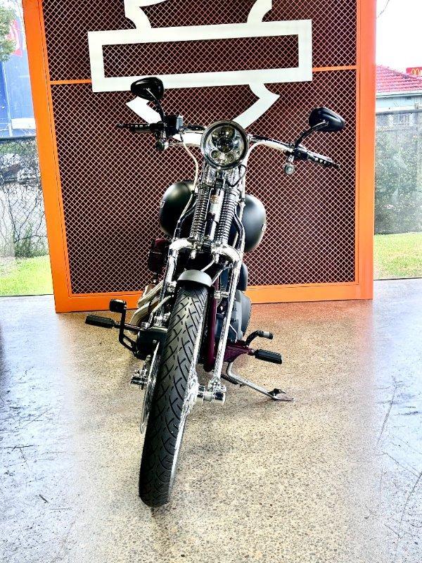 2008 HARLEY-DAVIDSON FXSTB NIGHT TRAIN CRUISER