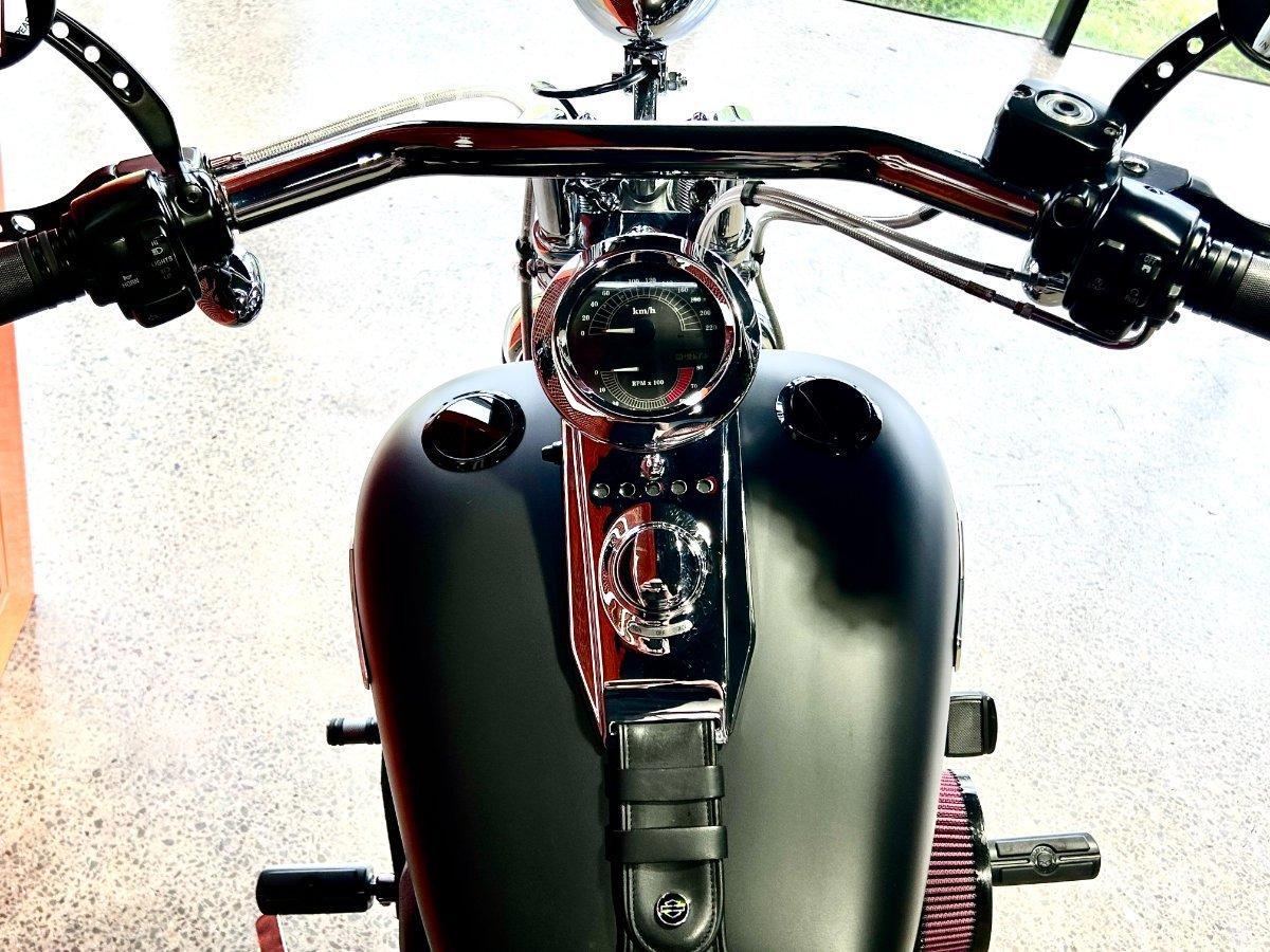 2008 HARLEY-DAVIDSON FXSTB NIGHT TRAIN CRUISER