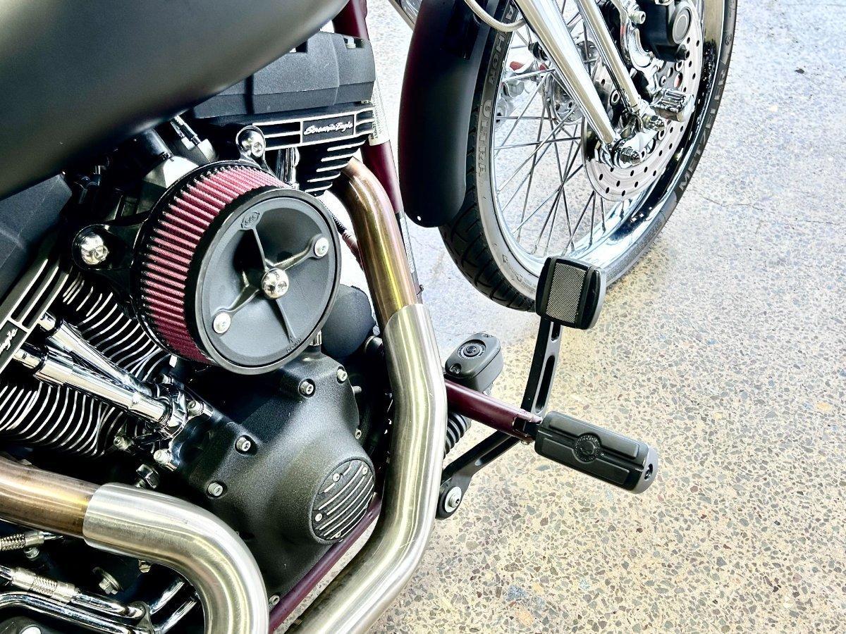 2008 HARLEY-DAVIDSON FXSTB NIGHT TRAIN CRUISER