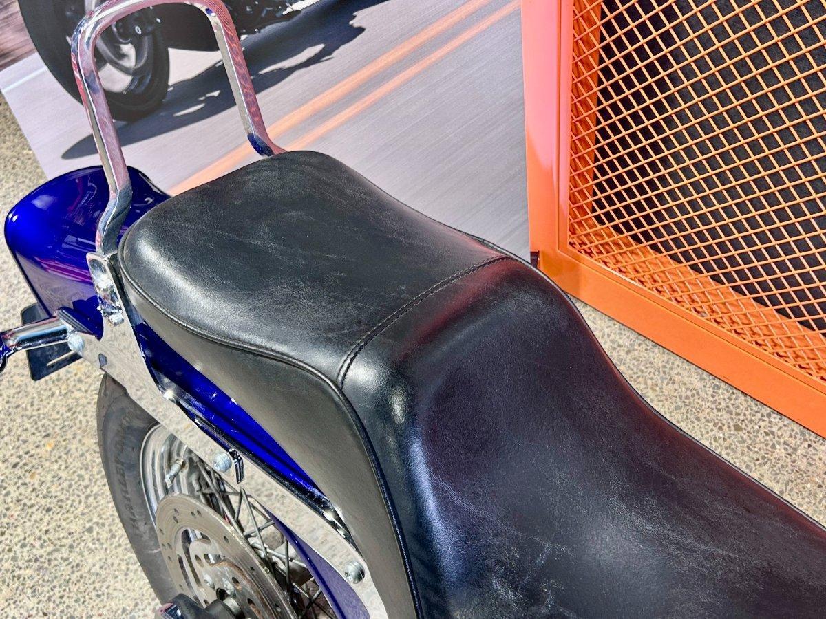 2004 HARLEY-DAVIDSON FXST SOFTAIL CRUISER
