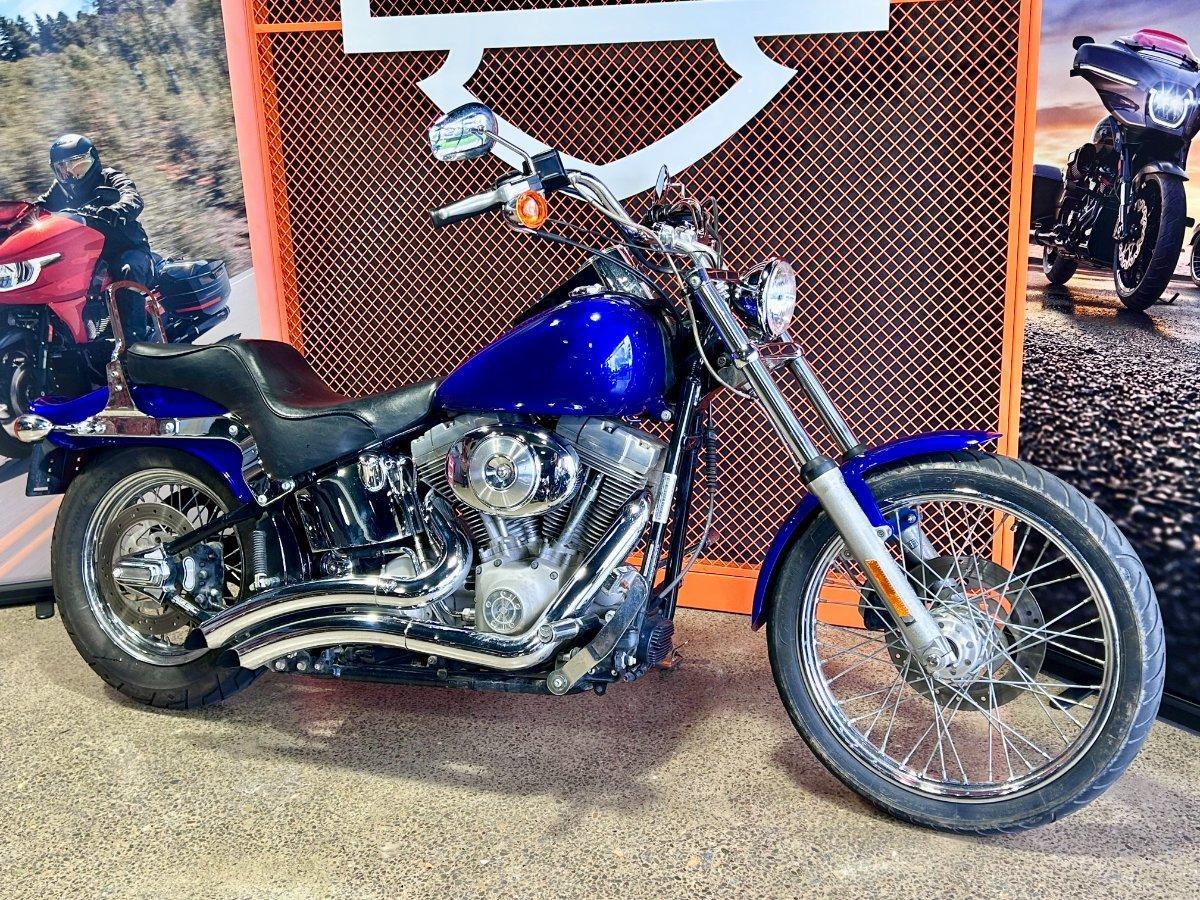 2004 HARLEY-DAVIDSON FXST SOFTAIL CRUISER