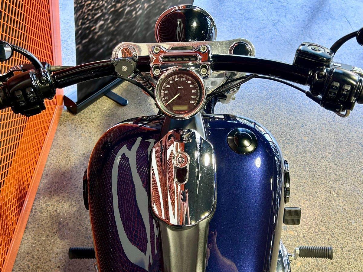 2013 HARLEY-DAVIDSON FXSB SOFTAIL BREAKOUT CRUISER