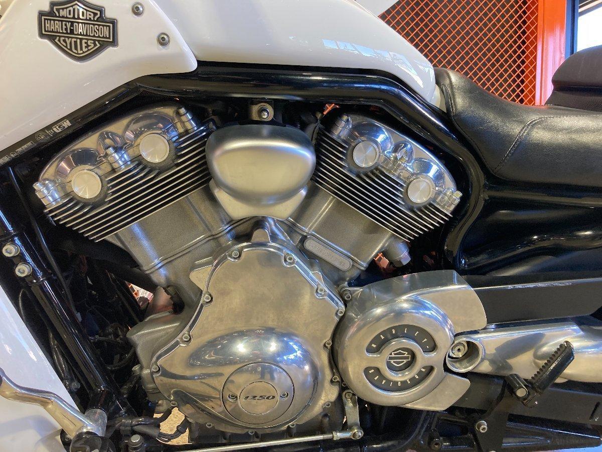 2015 HARLEY-DAVIDSON VRSCF MUSCLE CRUISER