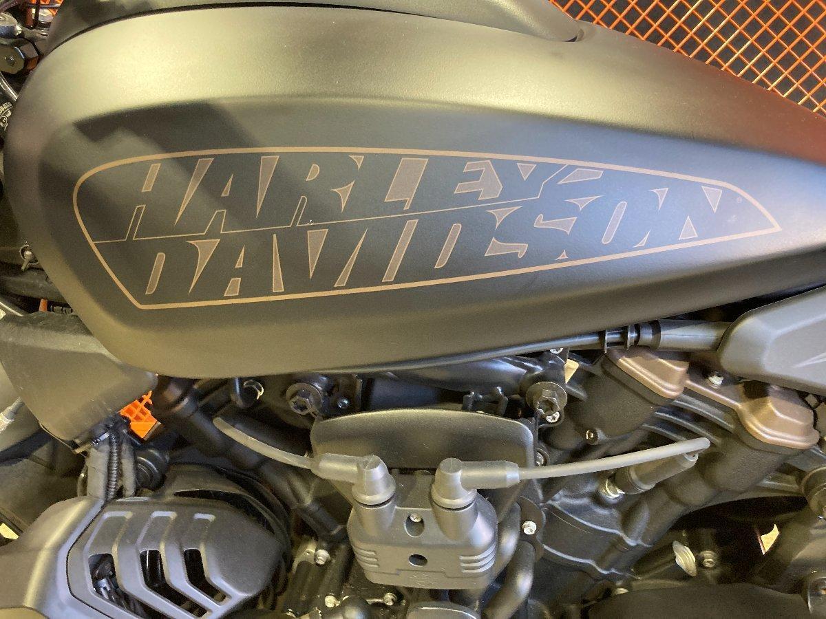 2021 HARLEY-DAVIDSON RH1250S SPORTSTER S CRUISER