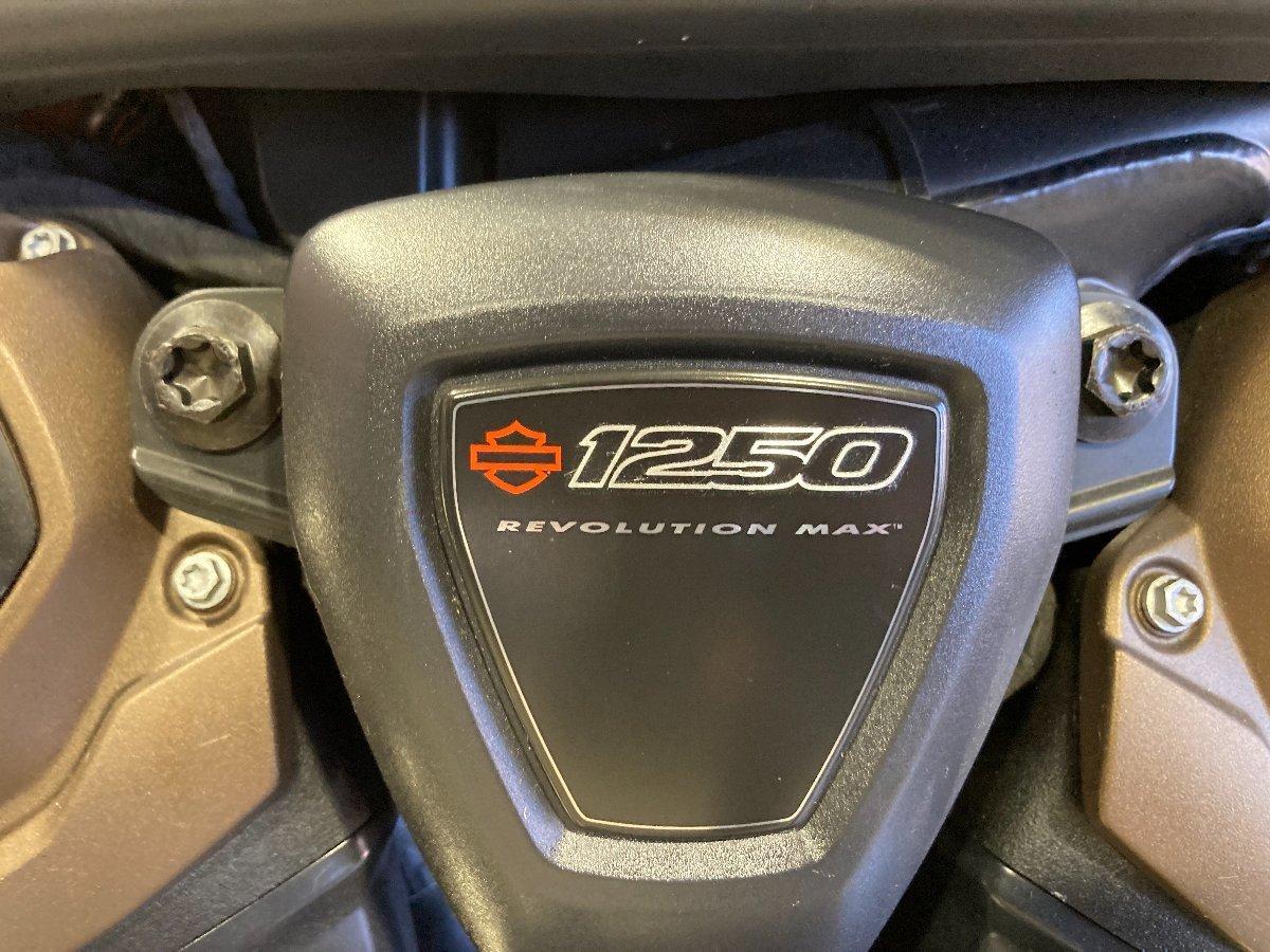 2021 HARLEY-DAVIDSON RH1250S SPORTSTER S CRUISER
