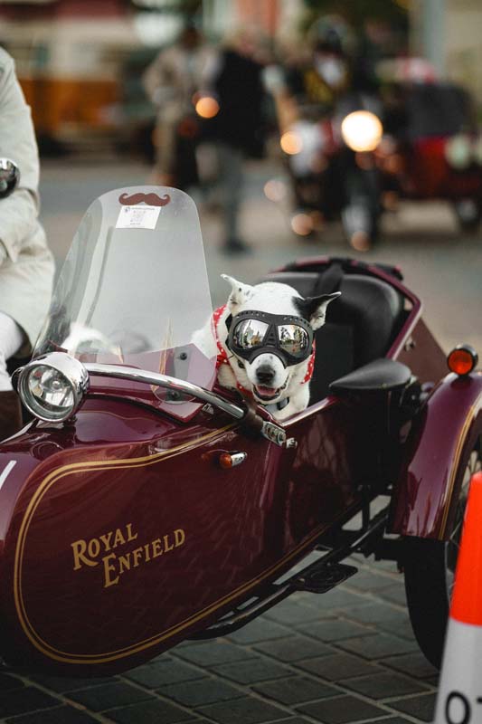 REPORT - 2025 Distinguished Gentleman’s Ride