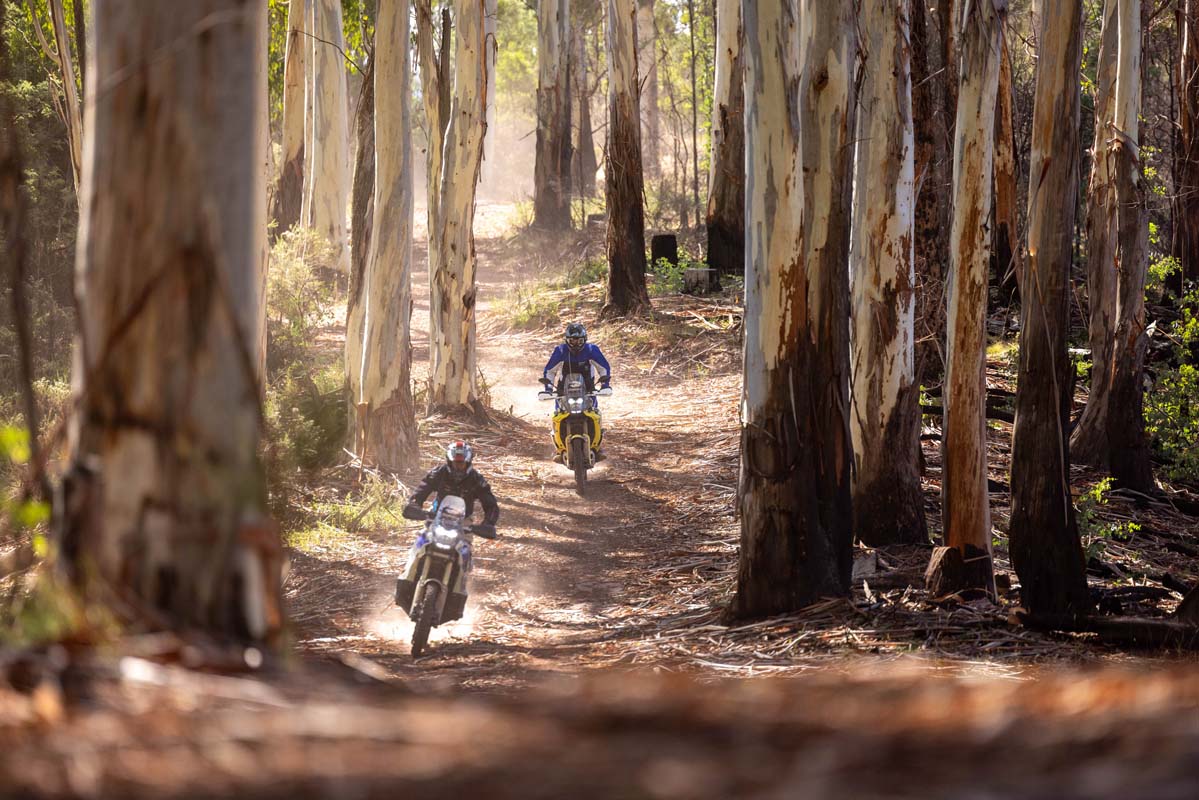 REPORT - 2025 Yamaha Tenere Rally