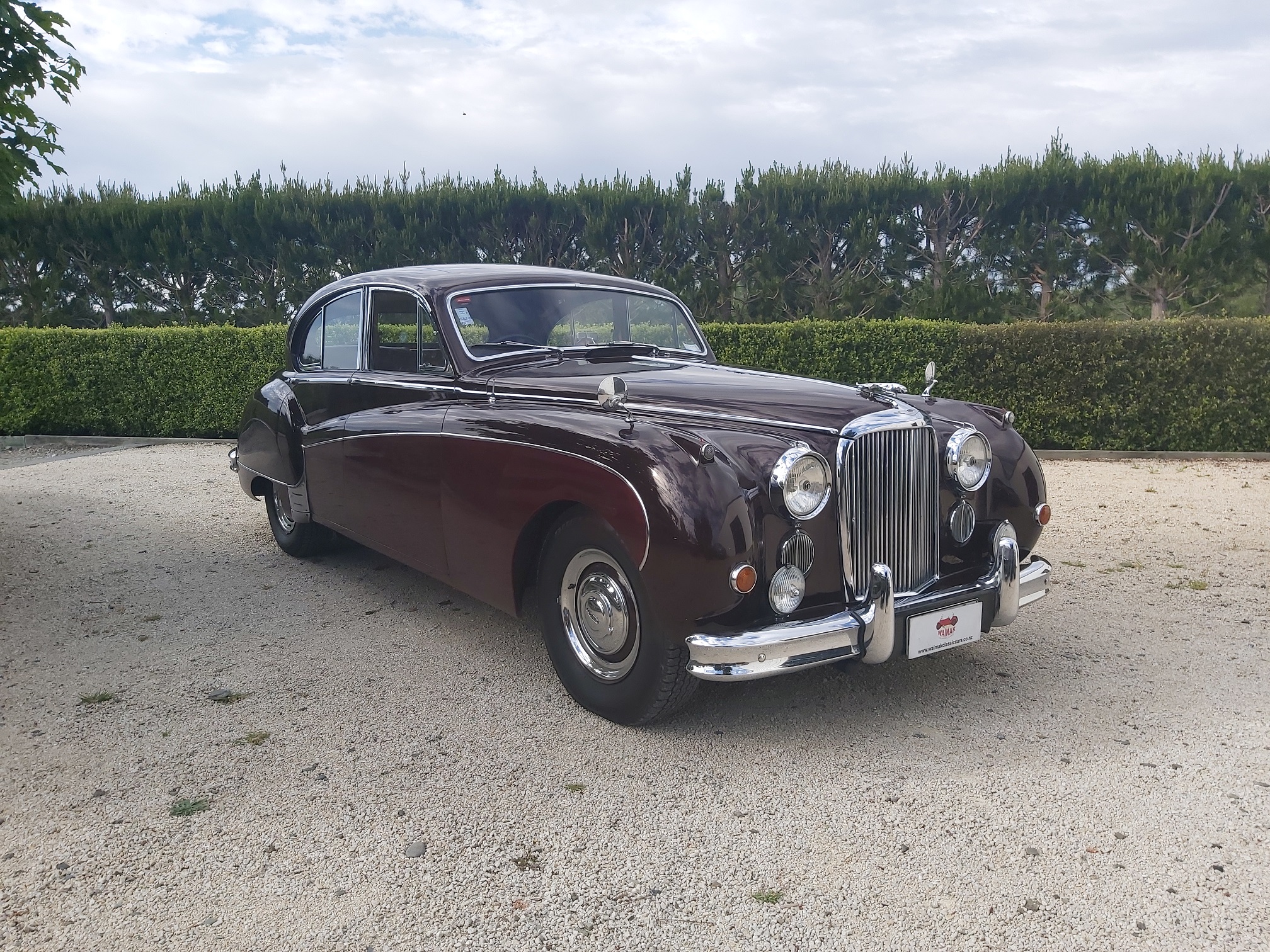 FEATURE - 1958 Jaguar Mk VIII