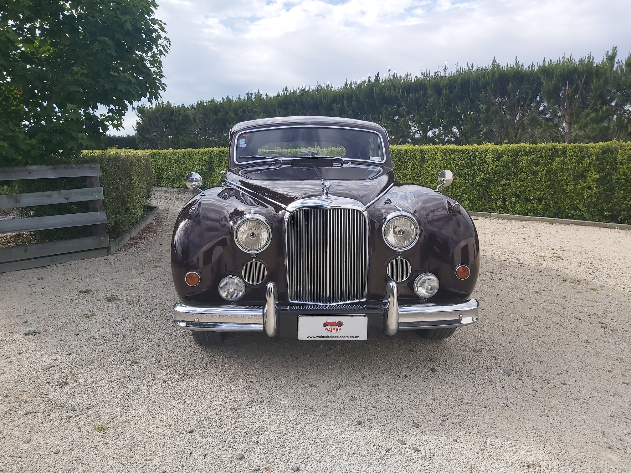 FEATURE - 1958 Jaguar Mk VIII