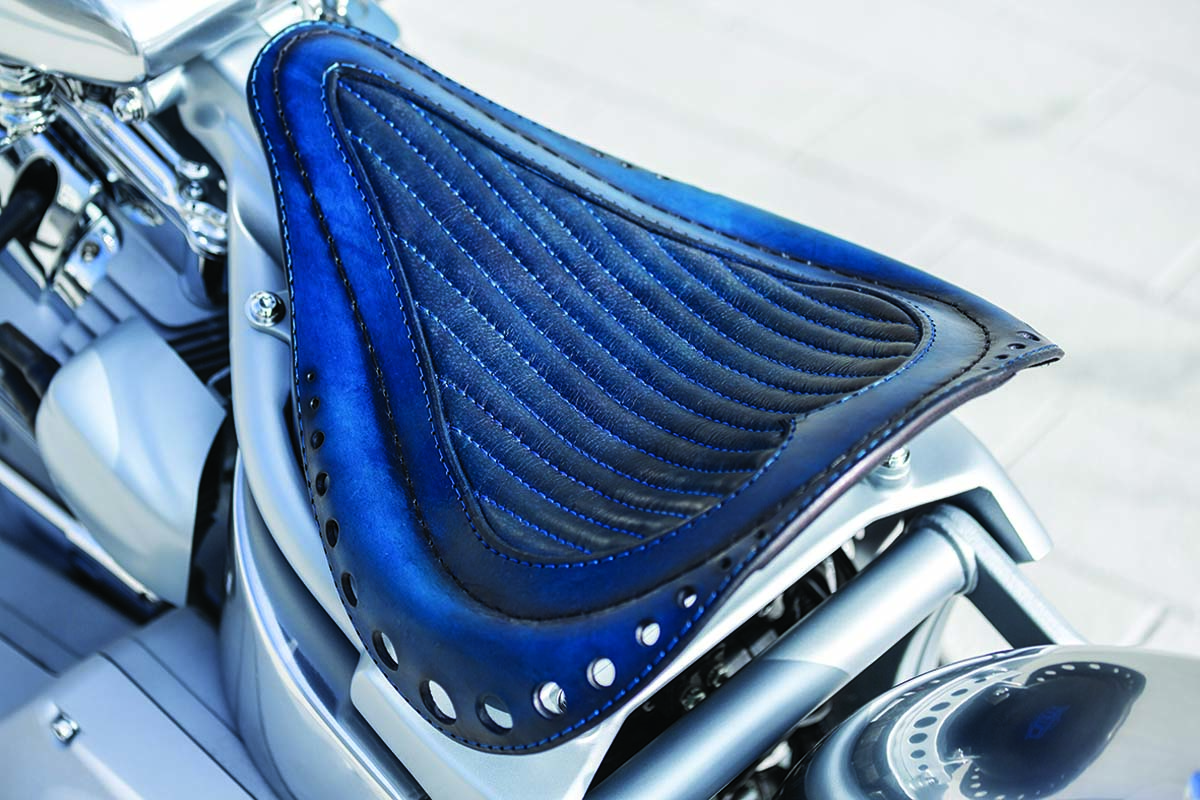 FEATURE – 2001 Harley-Davidson Softail custom