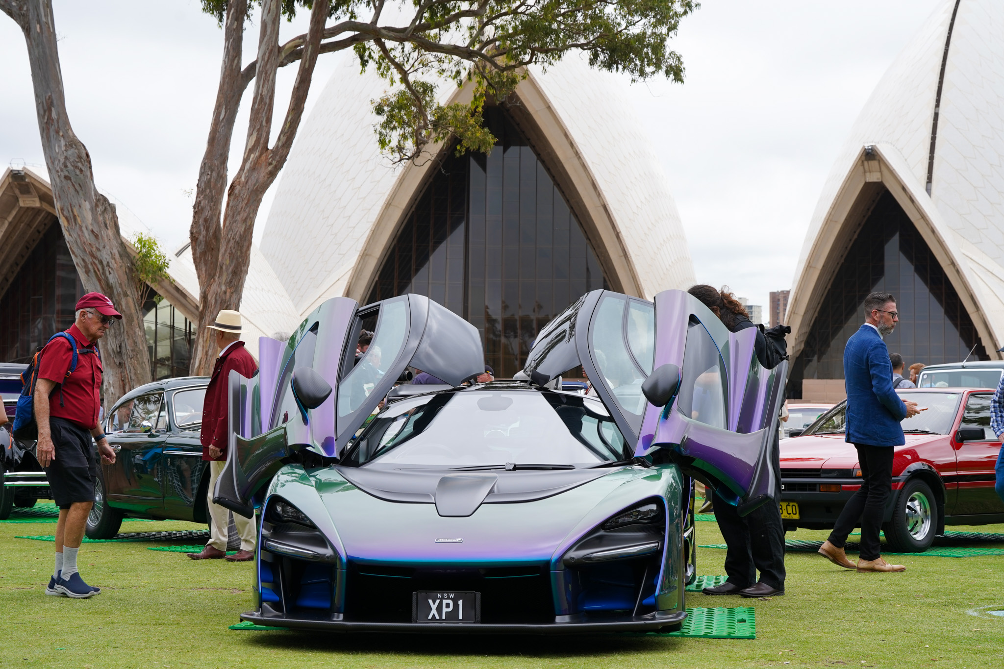Delage wins Best of Show at 2026 Sydney Harbour Concours