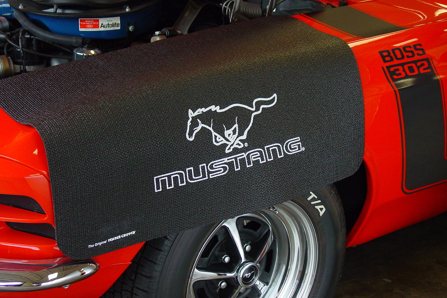 Custom Mustangs