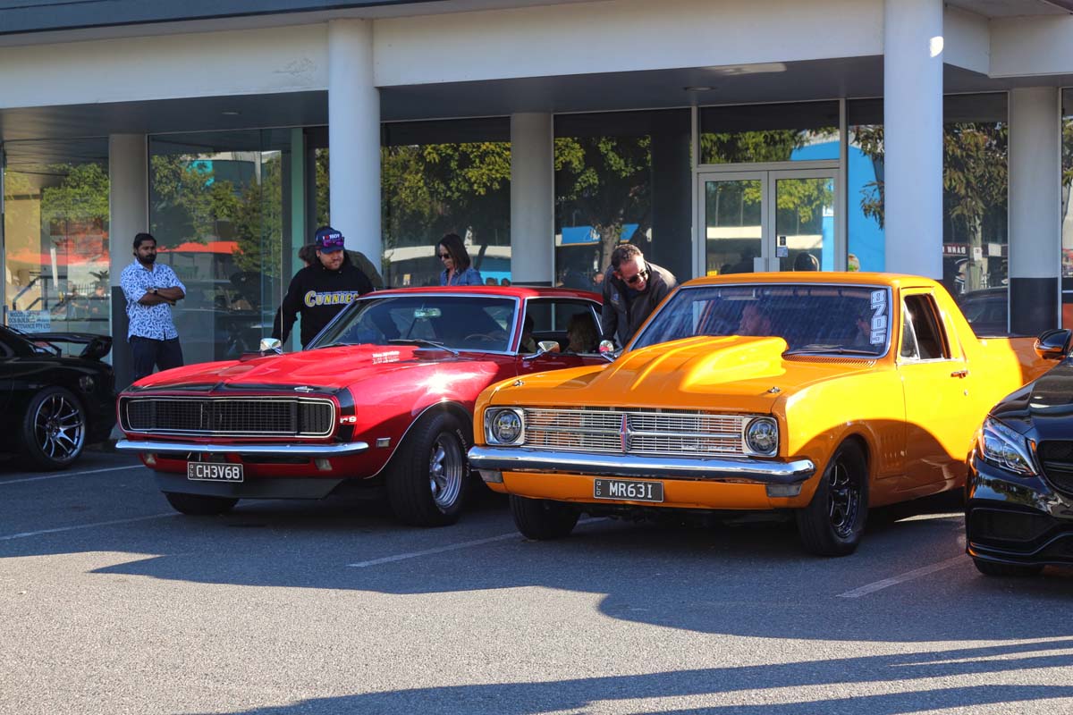Horses, Bulls, Snakes and Cats at JUST CARS & COFFEE Brisbane