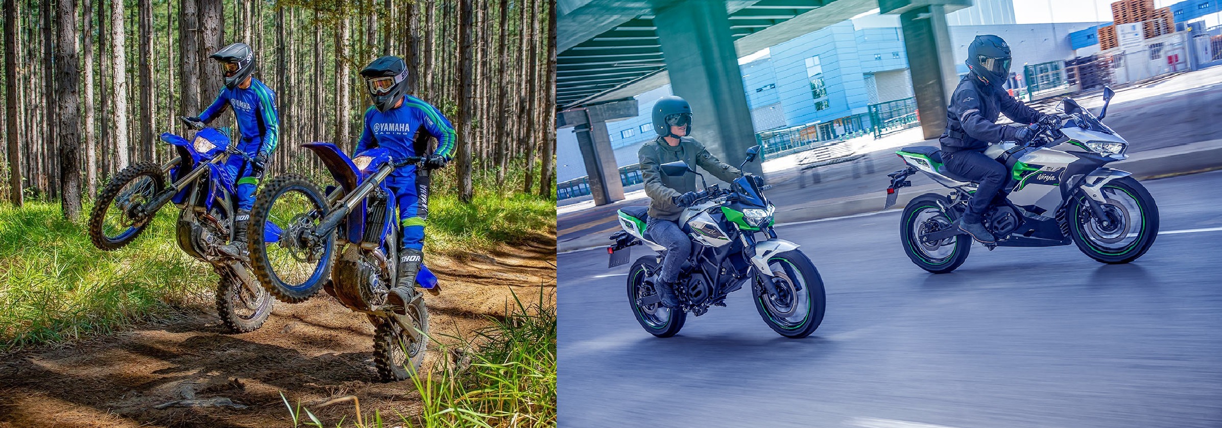 TeamMoto Sunshine Coast: Two Icons. One Destination.
